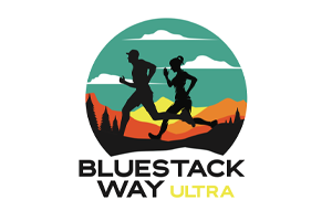bluestack ultra